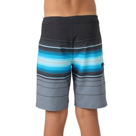 Hyperfreak Heat Stripe Board Shorts - Boys'