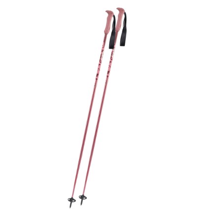 D'scent TI Ski Poles - Pair