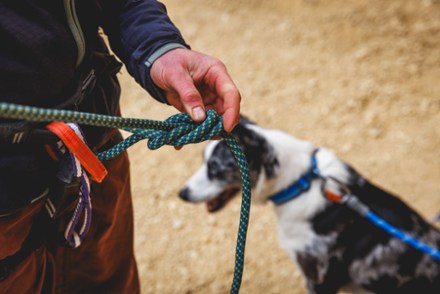 Knot-a-Leash Rope Dog Leash