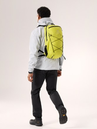 Aerios 18 Pack