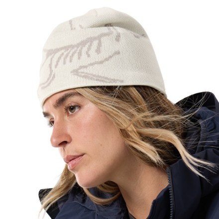 Arc'teryx Bird Head Toque Beanie | Pike and Rose