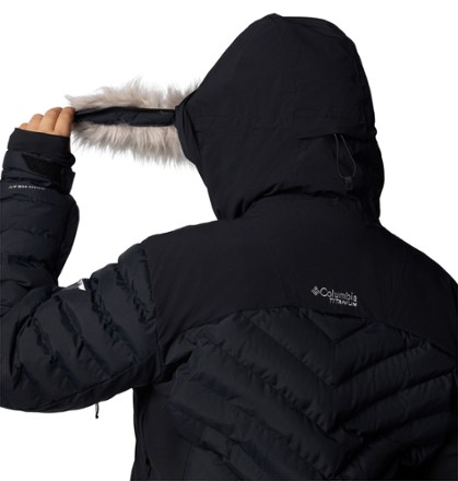 Bird Mountain Insulated Jacket - Women's