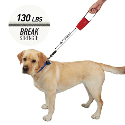 RadDog Retractable Pocket Leash - Large