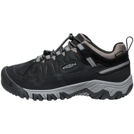 Targhee IV Low Waterproof Hiking Shoes
