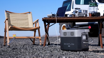 DELTA mini Portable Power Station