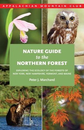 Nature Guide To The Northern Forest