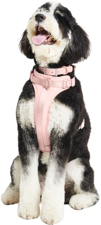 Dog Harness