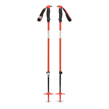 Traverse Ski Poles - Pair