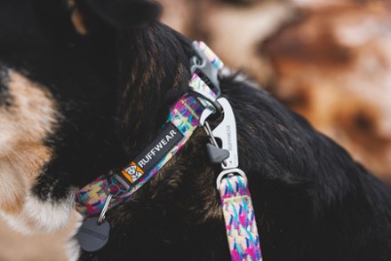 Front Range Printed Leash