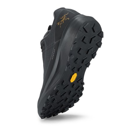 Norvan LD 4 GTX Trail-Running Shoes - Men's