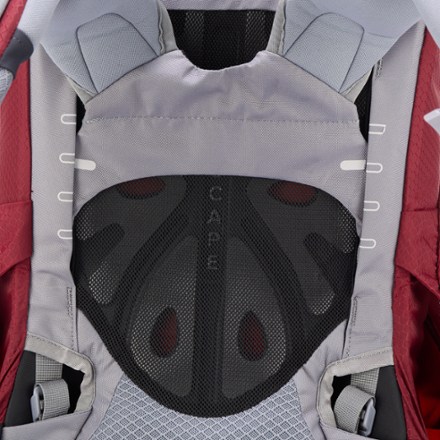 Ariel 55 Pack