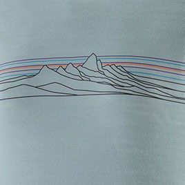 Long-Sleeve Capilene Cool Merino Graphic Shirt - Women's