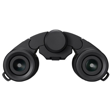 Stabilized 12 x 25 S Binoculars