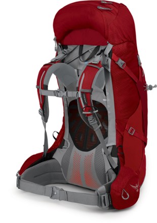 Ariel Plus 60 Pack - Women's