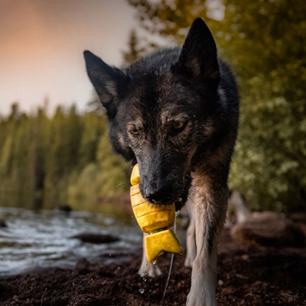 Doggone Fishin' Super Chewer Dog Toy