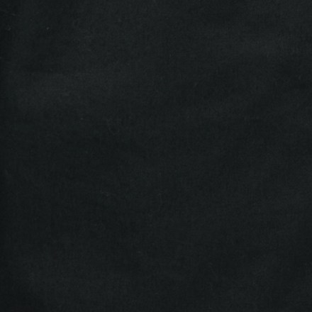 Notion Shorts - Women's