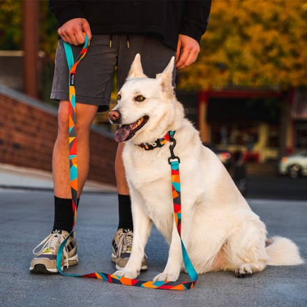 ShatterShapes Collar