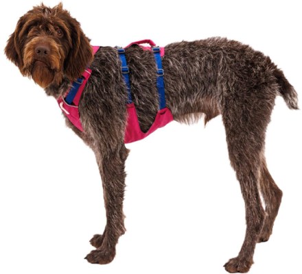 Flagline Dog Harness