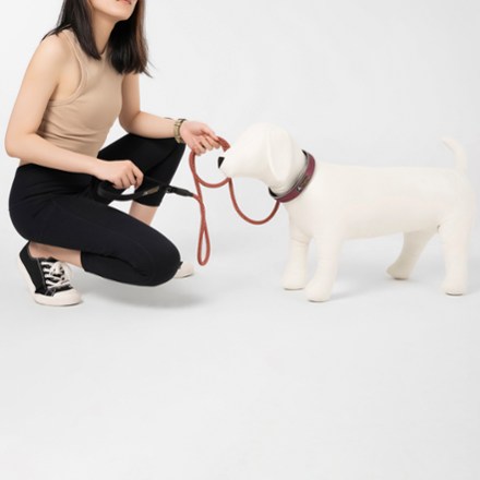 Mountain Rope Dog Leash