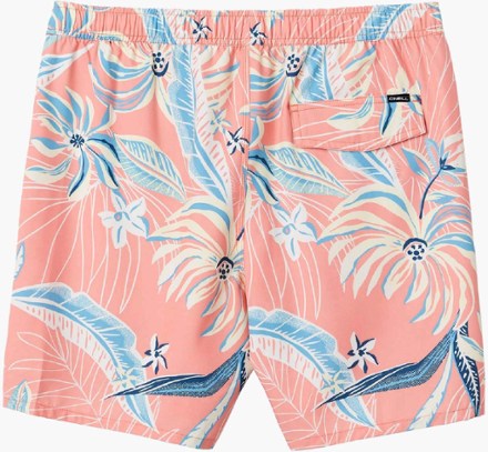 Hermosa E-Waist Lined 17" Board Shorts - Men's