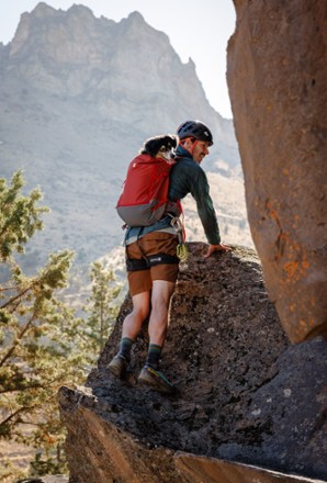 Hitch Hiker Dog Pack Carrier