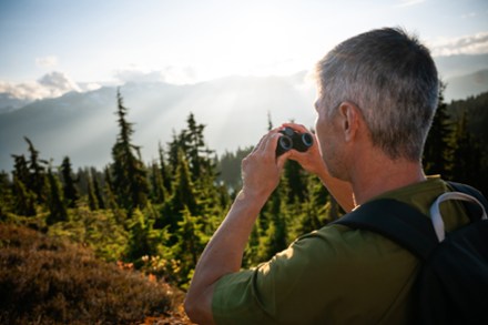 Stabilized 12 x 25 S Binoculars