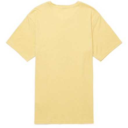 Llama Stripes T-Shirt - Men's