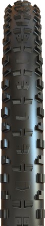 Minion DHR II 3T/EXO+/TR Tire