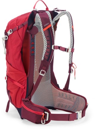 Stratos 24 Pack - Men's