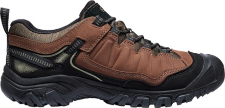 Targhee IV Waterproof Hiking Shoes - Men's