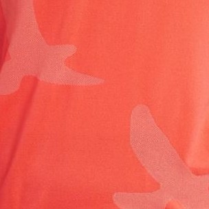 Altitude T-Shirt - Women's