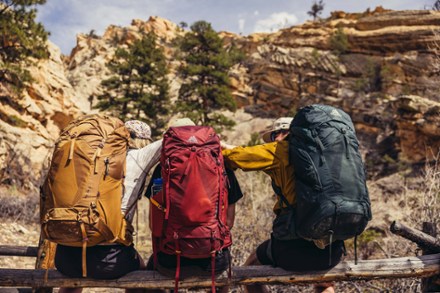 Paragon 50 Pack - Men's