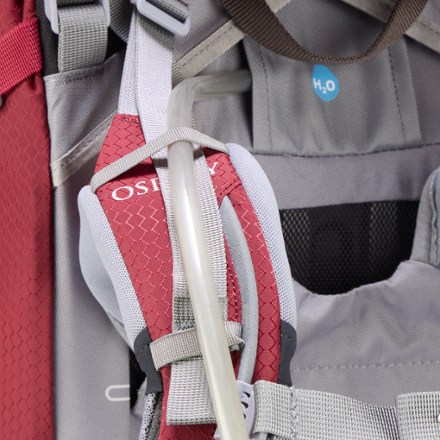 Ariel 55 Pack