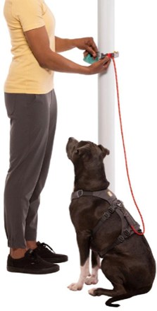 Hitch Hiker Leash