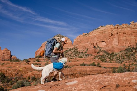 Approach Dog Pack