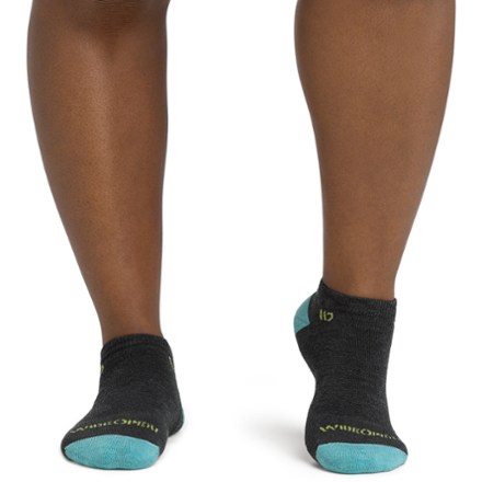 Solid Cushioned No-Show Socks - Women's