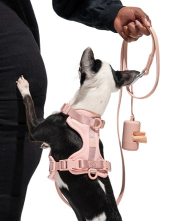 Dog Harness