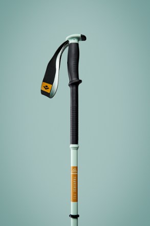 Traverse Pro Ski Poles - Pair