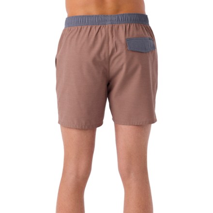 O'Riginals Solid Volley 16" Swim Shorts - Men's