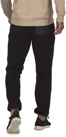 Synchilla Pants - Men's