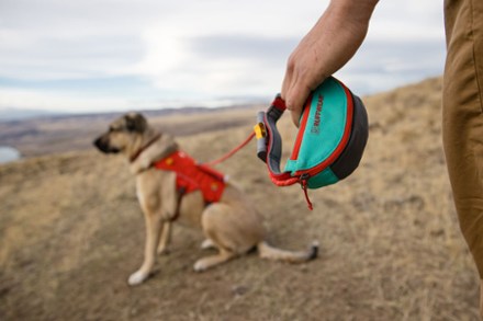 Hitch Hiker Leash