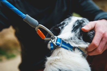 Knot-a-Leash Rope Dog Leash