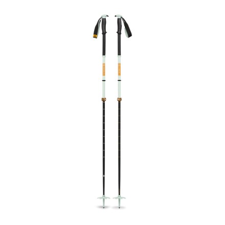 Traverse Pro Ski Poles - Pair