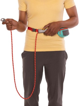 Hitch Hiker Leash