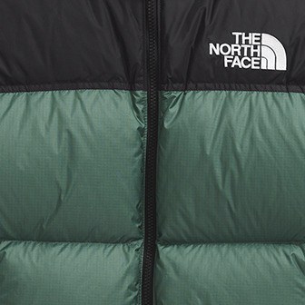 1996 Retro Nuptse Down Jacket - Men's