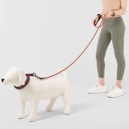 Mountain Rope Dog Leash