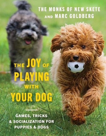 The Joy of Playing With Your Dog