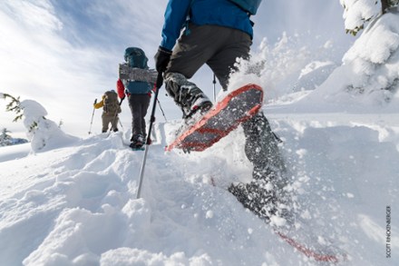 DynaLock Explore Backcountry Poles - Pair