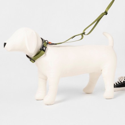 Flagstaff Reflective Comfort Adjustable Dog Collar
