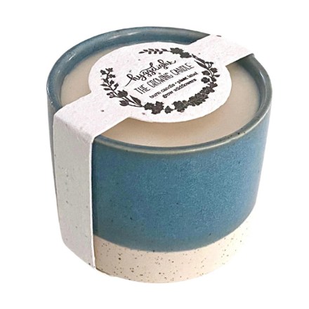Willow Candle - Apple/Pine Scent